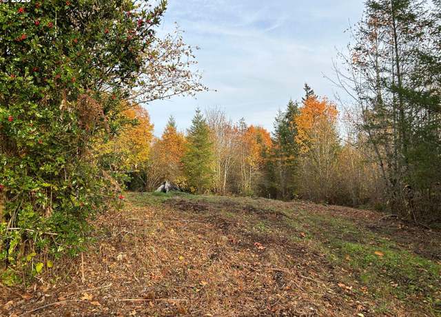 Property at NE Fargher Dr #1, Yacolt, WA 98675