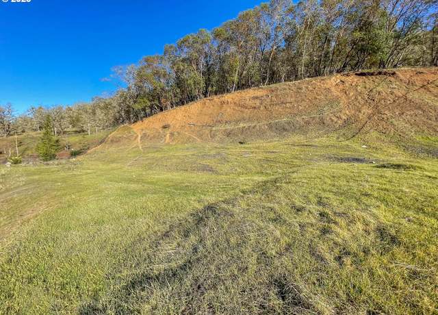 Property at 817 North View Dr, Winchester, OR 97495