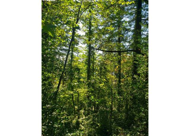 Property at SW Hewett Blvd, Portland, OR 97221