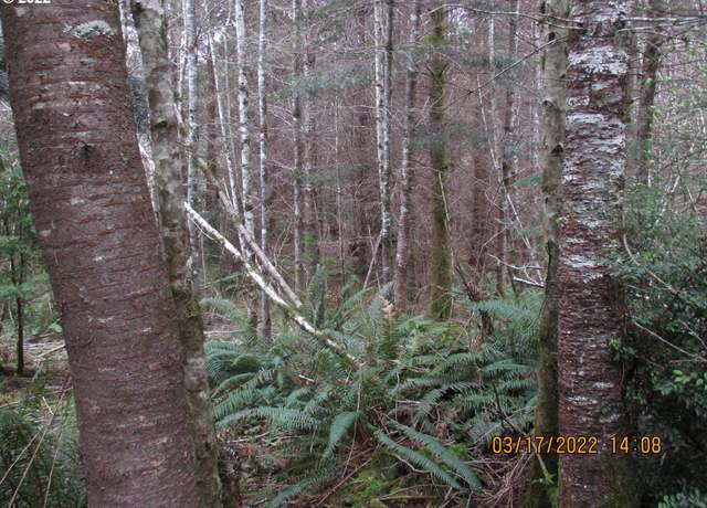 Property at 0 Pierson Ln, Coos Bay, OR 97420