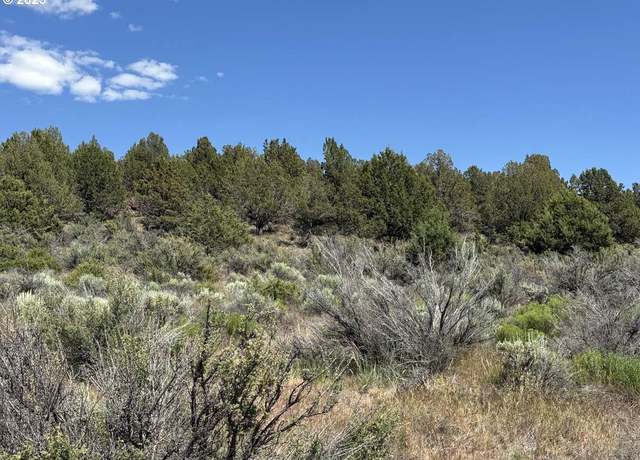 Property at Medicine Mountain Dr #1, Beatty, OR 97621
