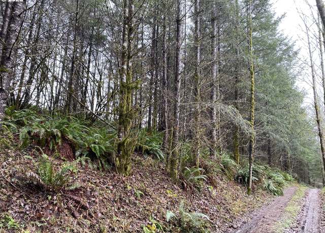 Property at 0 NE Buncombe Hollow Rd, Woodland, WA 98674