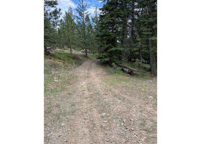 Property at 0000 Greenhorn Rd, Greenhorn, OR 97877