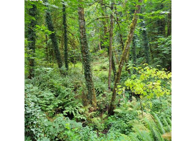 Property at Coal Creek Rd, Scappoose, OR 97056