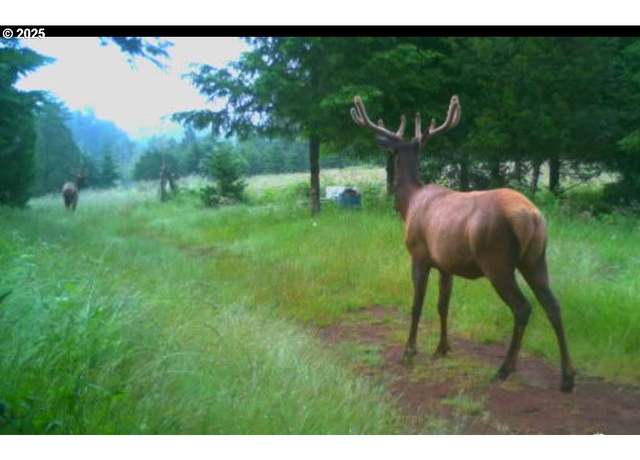 Property at Kenady Ln Lot 401, Cottage Grove, OR 97424