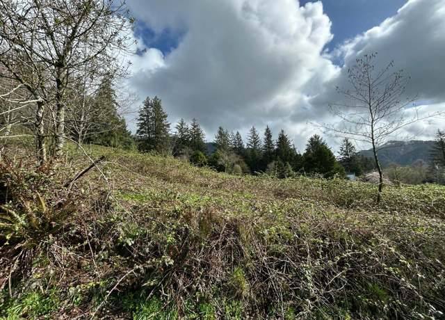 Property at Tl102 Sollie Smith Rd, Tillamook, OR 97141