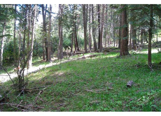 Property at 0 Tram Ln, Wallowa Lake, OR 97846
