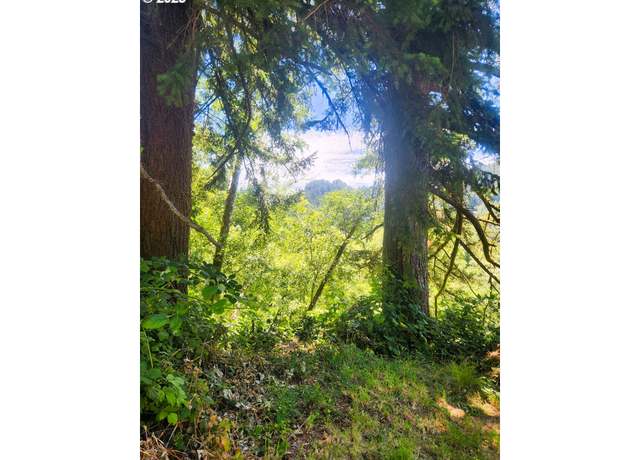 Property at Tiernan Rd #2000, Mapleton, OR 97453