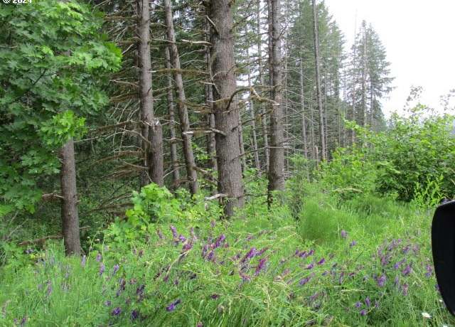 Property at 0 NW Fairdale Rd, Yamhill, OR 97148