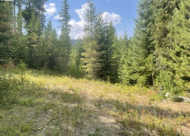 Property at Mountain Property, Heppner, OR 97836