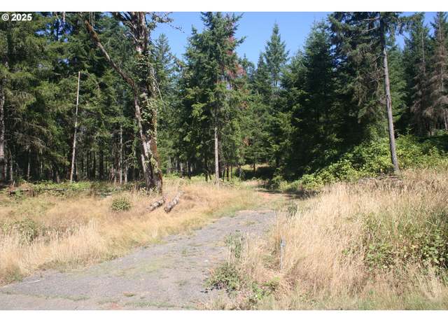 Property at 3647 Briar Knob Loop NE, Scotts Mills, OR 97375