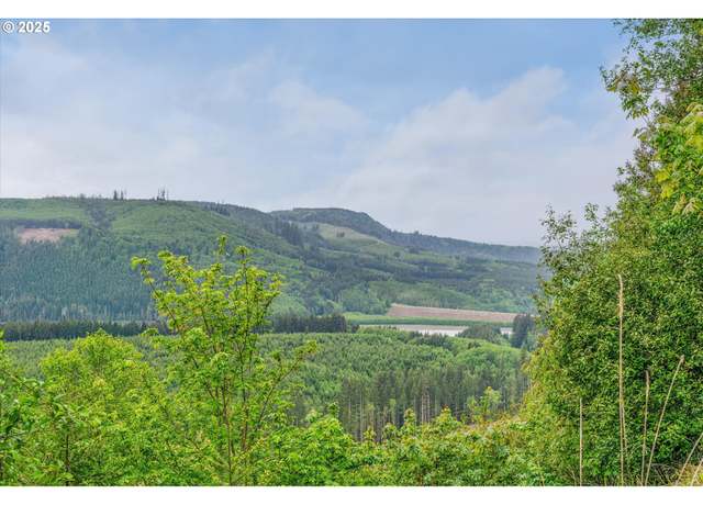 Property at 2500 Rd, Toutle, WA 98649