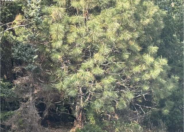 Property at Bill Creek Ln, Bandon, OR 97411