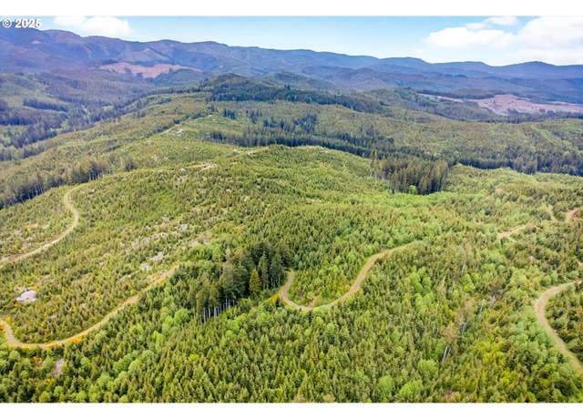 Property at 1 Parpala Rd, Naselle, WA 98638