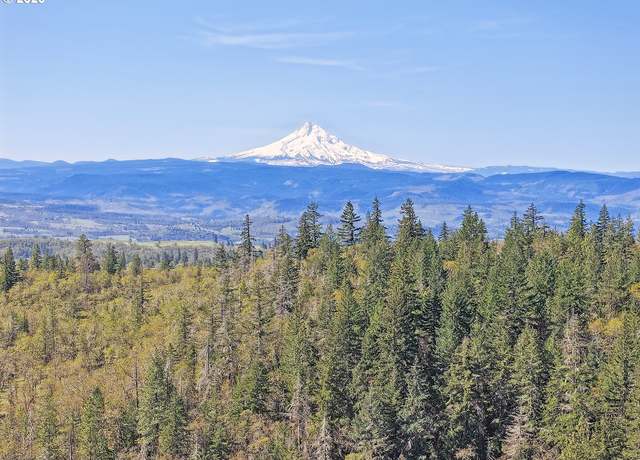 Property at 33 Acres Off Canyon Rd, Lyle, WA 98635