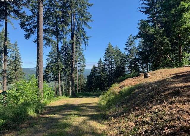 Property at Alder Branch Rd, Springfield, OR 97478