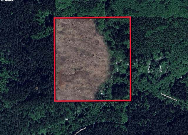 Property at Buster Creek Mainlin, Jewell, OR 97138