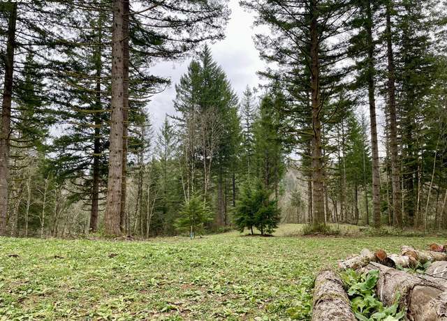 Property at NE 24th St, Washougal, WA 98671