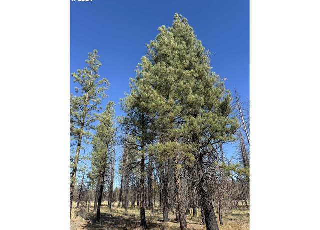 Property at Bull Pine Rd #500, Beatty, OR 97621