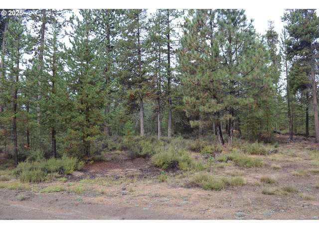 Property at Hwy 97 #300, Gilchrist, OR 97737