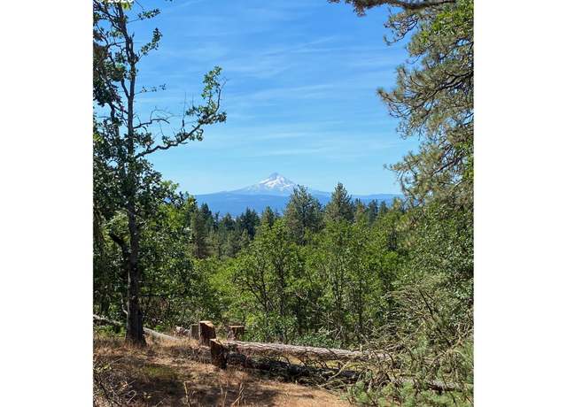 Property at Secluded Way #4, Lyle, WA 98635