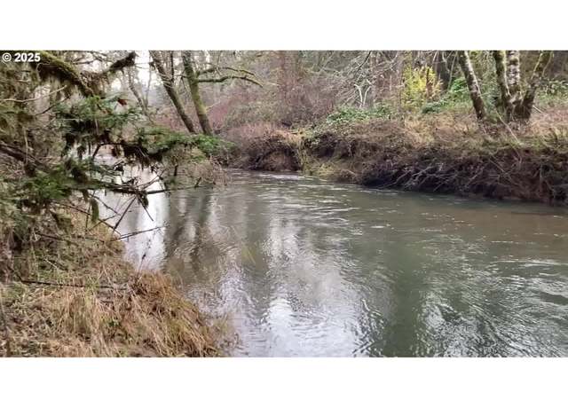 Property at SW Hebo Rd Unit TL: 289, Grand Ronde, OR 97347