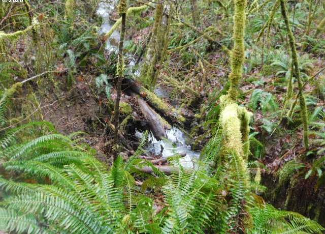 Property at Reid Rd, Scappoose, OR 97056