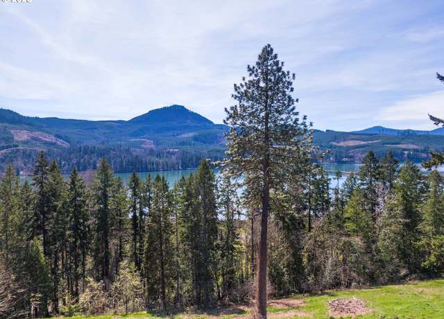 Property at 580 Sunridge Ln, Lowell, OR 97452