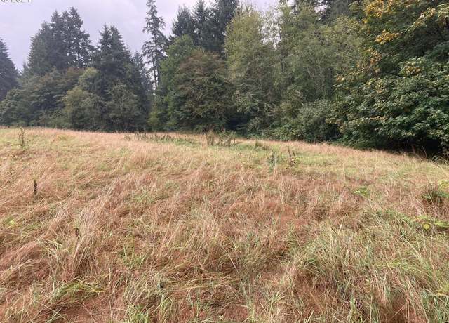 Property at 000 NW 166th St, Ridgefield, WA 98642