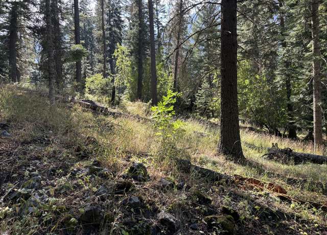 Property at Beske Ln, Wallowa Lake, OR 97846