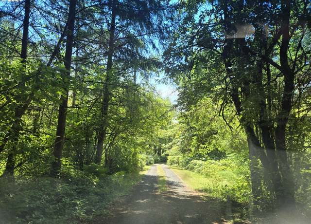 Property at Tide Creek Rd, Rainier, OR 97048