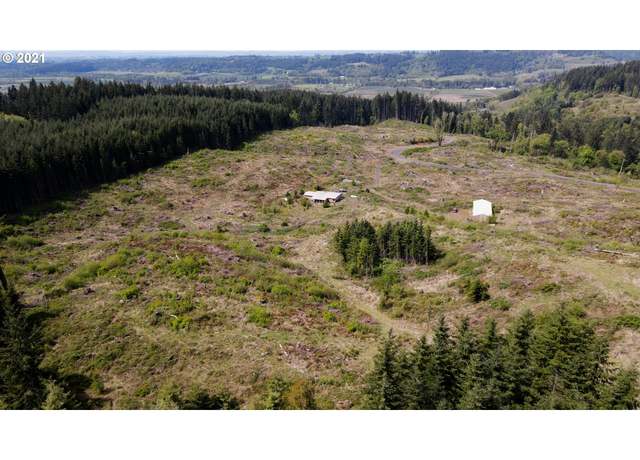 Property at 41116 Rodgers Mountain Loop, Scio, OR 97374