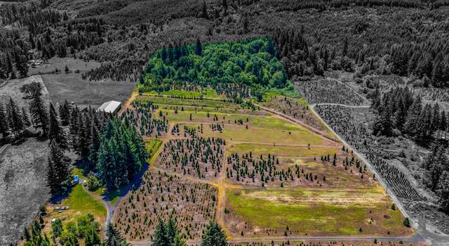 Photo of 47070 Evergreen Ln, Lyons, OR 97358