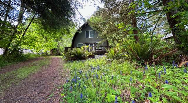Photo of 10056 Beach Dr, Birkenfeld, OR 97016