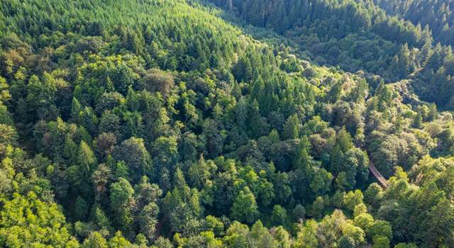 Photo of Vaughn Rd Unit TL901, Veneta, OR 97487