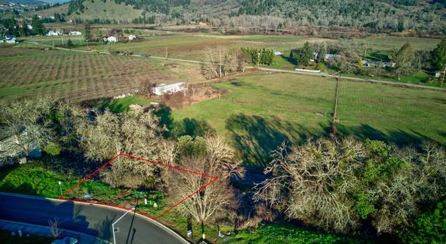 Photo of 111 SE Lebleu Ln, Winston, OR 97496