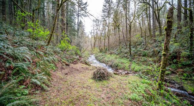 Photo of 0 NE 181st Ave, Yacolt, WA 98675