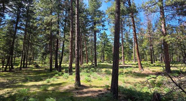 Photo of Hwy 216, Maupin, OR 97037