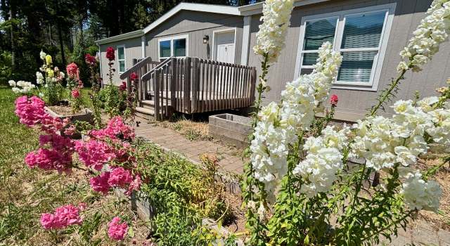 Photo of 51211 Mckenzie Hwy, Vida, OR 97488
