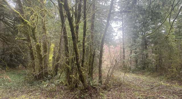 Photo of Alder Creek Rd, Scappoose, OR 97056