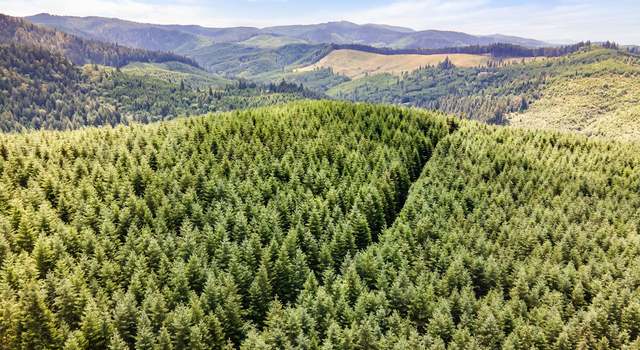 Photo of N Bear Creek Rd, Curtin, OR 97424