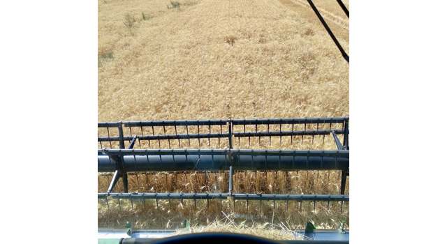 Photo of 0 Bannister Wheat, Unknown, OR 97801