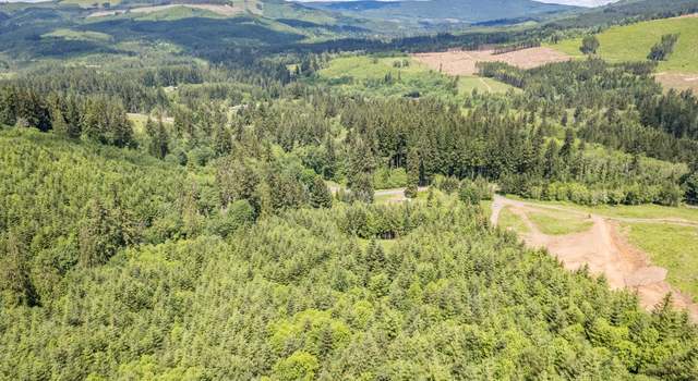 Photo of 0 S Goble Creek Rd Lot C, Kelso, WA 98626
