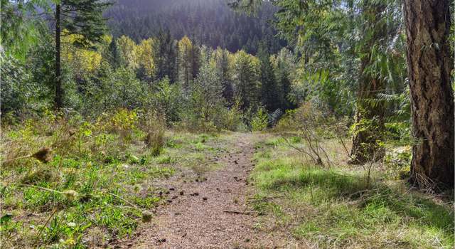 Photo of 21214 E Crater Ct, Rhododendron, OR 97049
