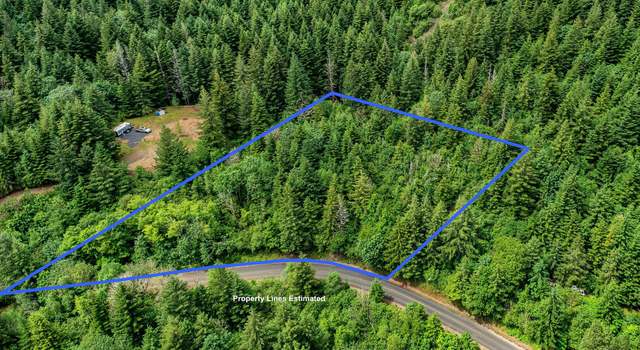 Photo of Archer Mountain Rd, Skamania, WA 98648