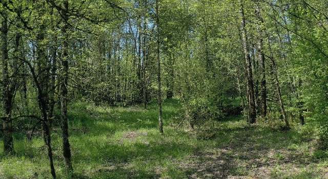 Photo of 0 W Main St, Battle Ground, WA 98604