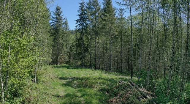 Photo of 0 W Main St, Battle Ground, WA 98604
