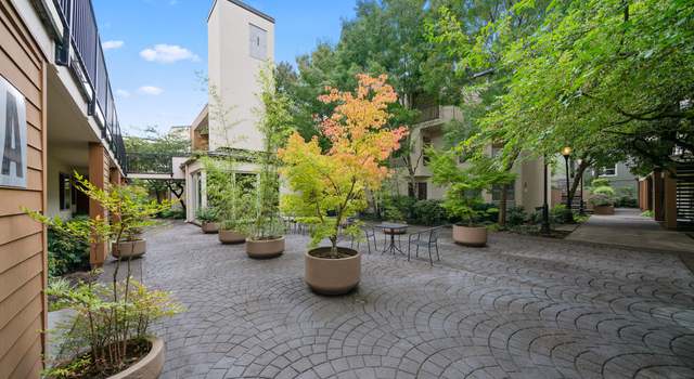 Photo of 1535 SW Clay St #202, Portland, OR 97201