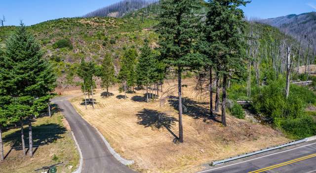 Photo of Blue River Rd, Blue River, OR 97413