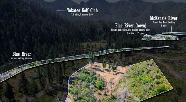 Photo of Blue River Rd, Blue River, OR 97413
